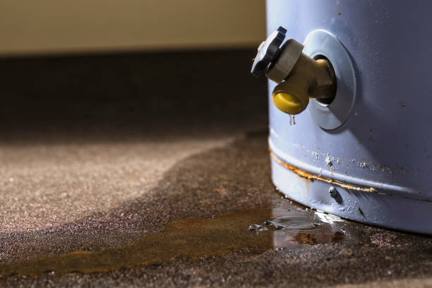 Best Mold removal after water damage  in Menands, NY
