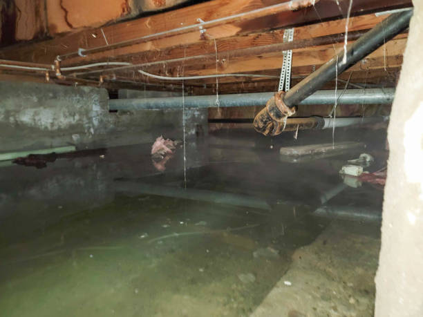 24/7 water damage repair in NY