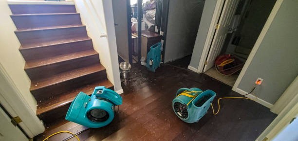 Best Water damage restoration company  in Menands, NY