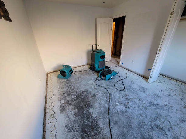 Best Flooded house restoration  in Menands, NY