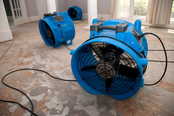 Best Flood restoration services  in Menands, NY