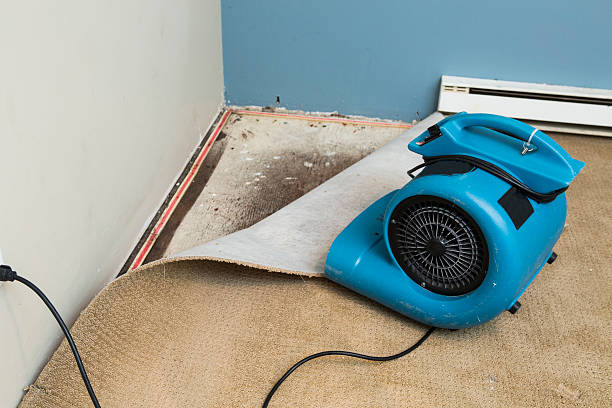 Best Water damage contractors near me  in Menands, NY